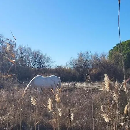 Marina Belle Vue Avec Appontement アパート ル・グロー・デュ・ロワ